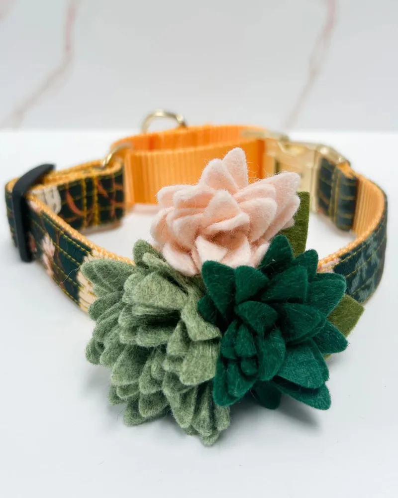 Agave Succulent Dog Collar Flower (Made in the USA)